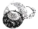 SunVisors-IMG_0115-white-opt.webp
