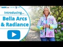 youtube - [Video]